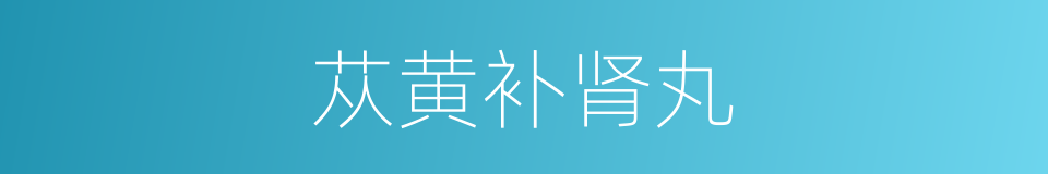 苁黄补肾丸的同义词