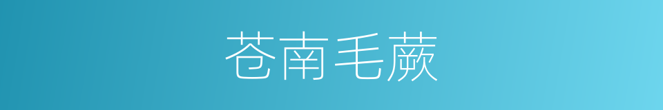 苍南毛蕨的同义词