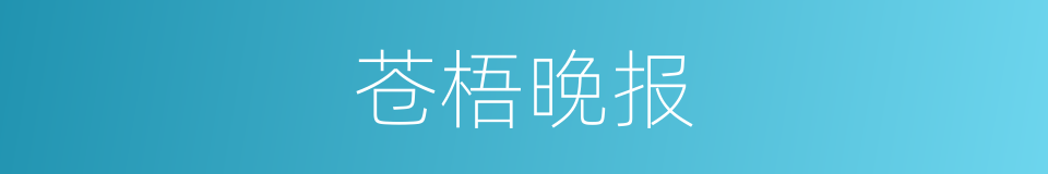 苍梧晚报的同义词