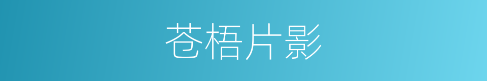 苍梧片影的同义词