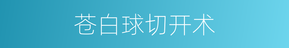 苍白球切开术的同义词