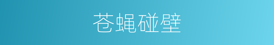 苍蝇碰壁的意思