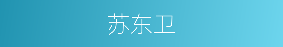 苏东卫的同义词