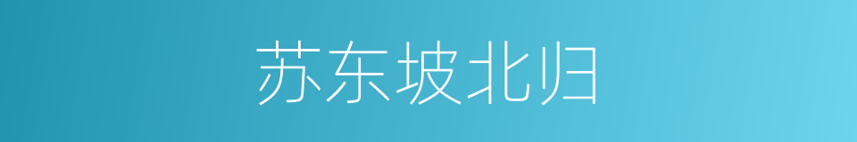 苏东坡北归的同义词
