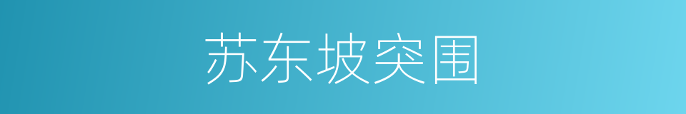苏东坡突围的同义词