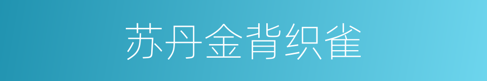 苏丹金背织雀的同义词