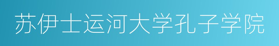 苏伊士运河大学孔子学院的同义词