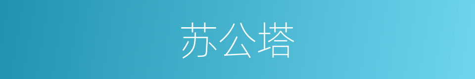 苏公塔的同义词