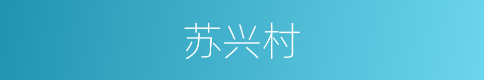 苏兴村的同义词