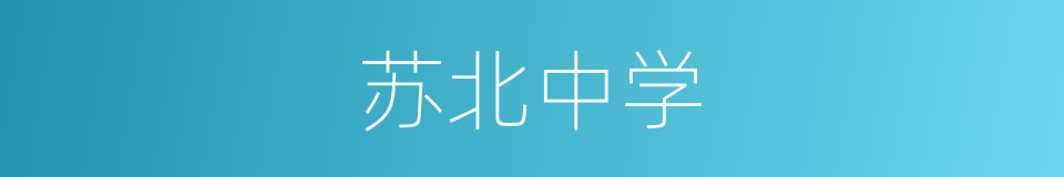 苏北中学的同义词