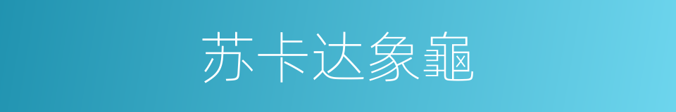苏卡达象龜的同义词