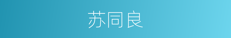 苏同良的同义词