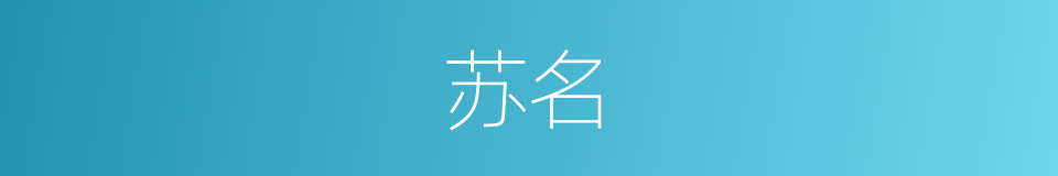 苏名的同义词