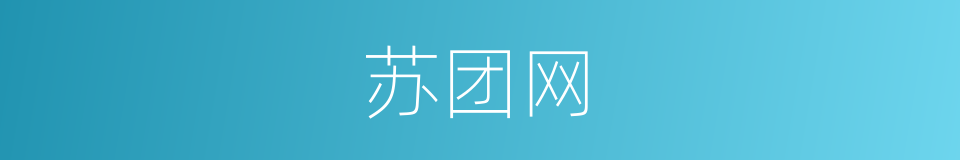 苏团网的同义词