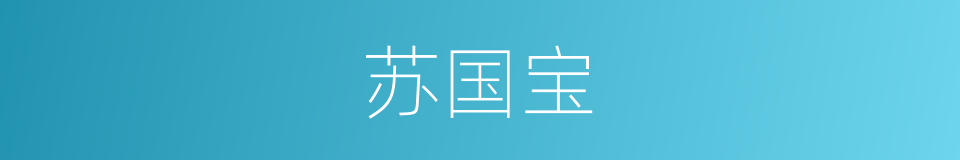 苏国宝的同义词