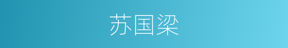 苏国梁的同义词