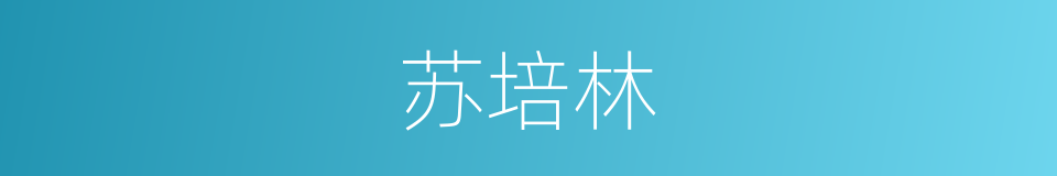 苏培林的同义词