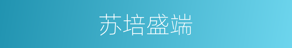 苏培盛端的同义词