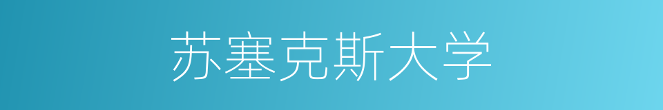 苏塞克斯大学的同义词