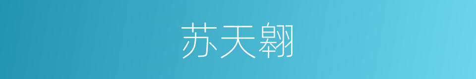 苏天翱的同义词