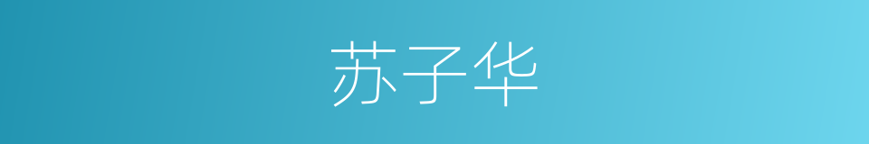 苏子华的同义词