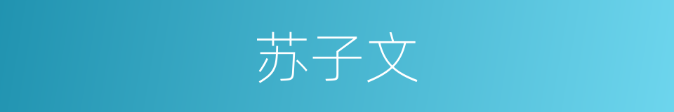 苏子文的同义词