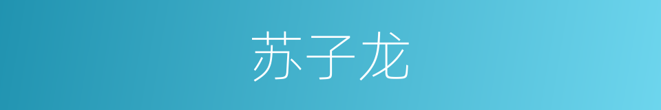 苏子龙的同义词