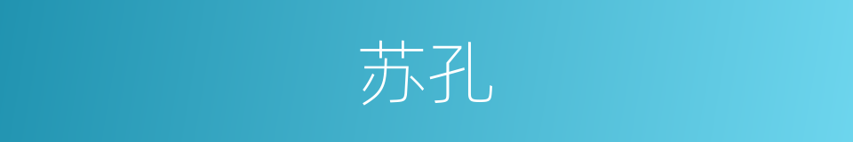 苏孔的同义词