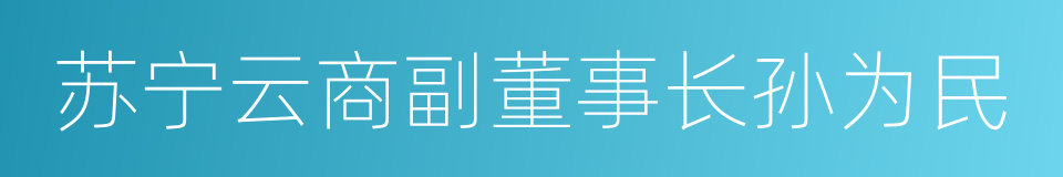 苏宁云商副董事长孙为民的同义词