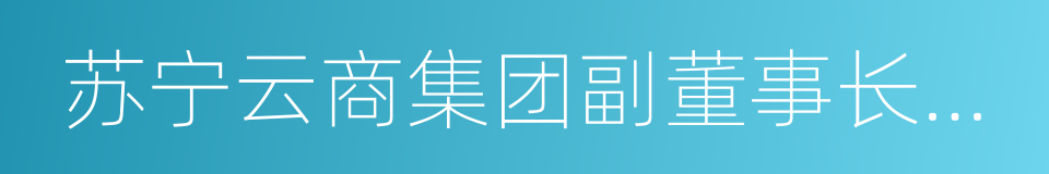 苏宁云商集团副董事长孙为民的同义词