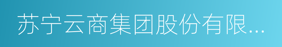 苏宁云商集团股份有限公司的同义词