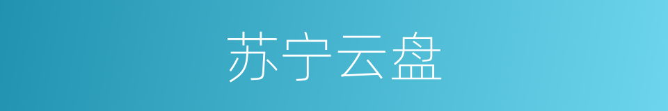 苏宁云盘的同义词