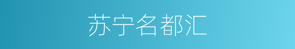 苏宁名都汇的同义词