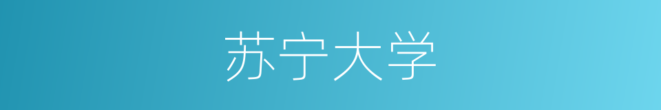 苏宁大学的同义词