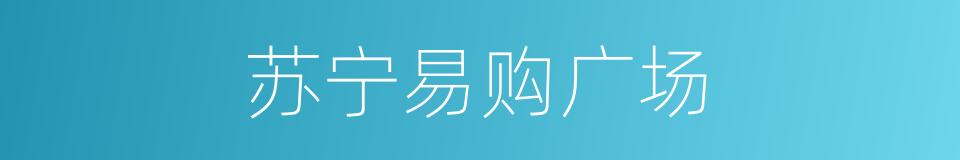 苏宁易购广场的同义词