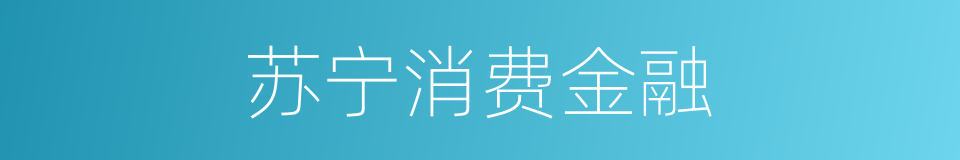 苏宁消费金融的同义词