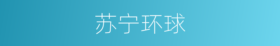 苏宁环球的同义词