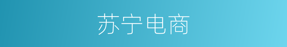 苏宁电商的同义词