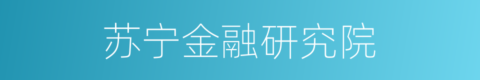 苏宁金融研究院的同义词