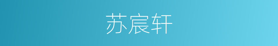 苏宸轩的同义词