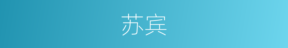 苏宾的同义词