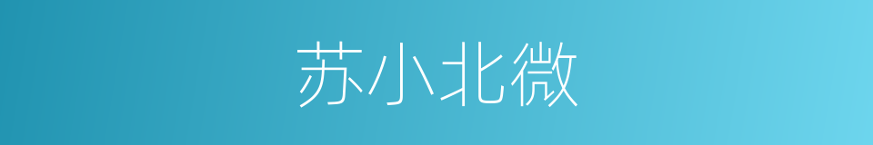 苏小北微的同义词