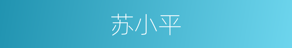 苏小平的同义词