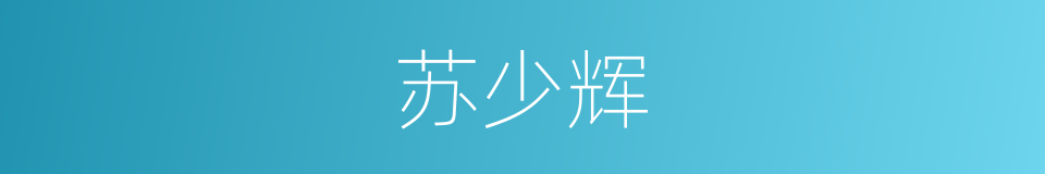 苏少辉的同义词
