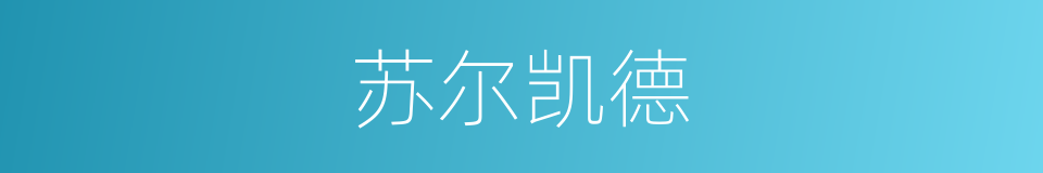 苏尔凯德的同义词
