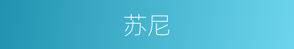 苏尼的同义词