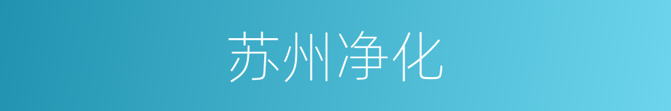 苏州净化的同义词