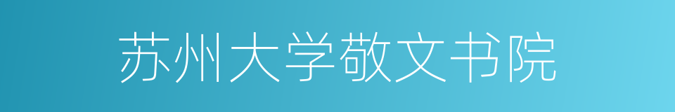 苏州大学敬文书院的同义词