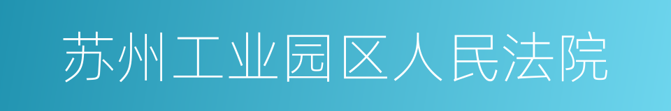 苏州工业园区人民法院的同义词
