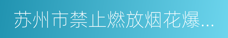 苏州市禁止燃放烟花爆竹条例的同义词